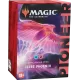 Magic - Pioneer Challenger Decks 2022 - Izzet Phoenix