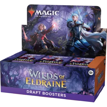 Magic - Terras Selvagens de Eldraine - Caixa de Booster de Draft em Inglês
