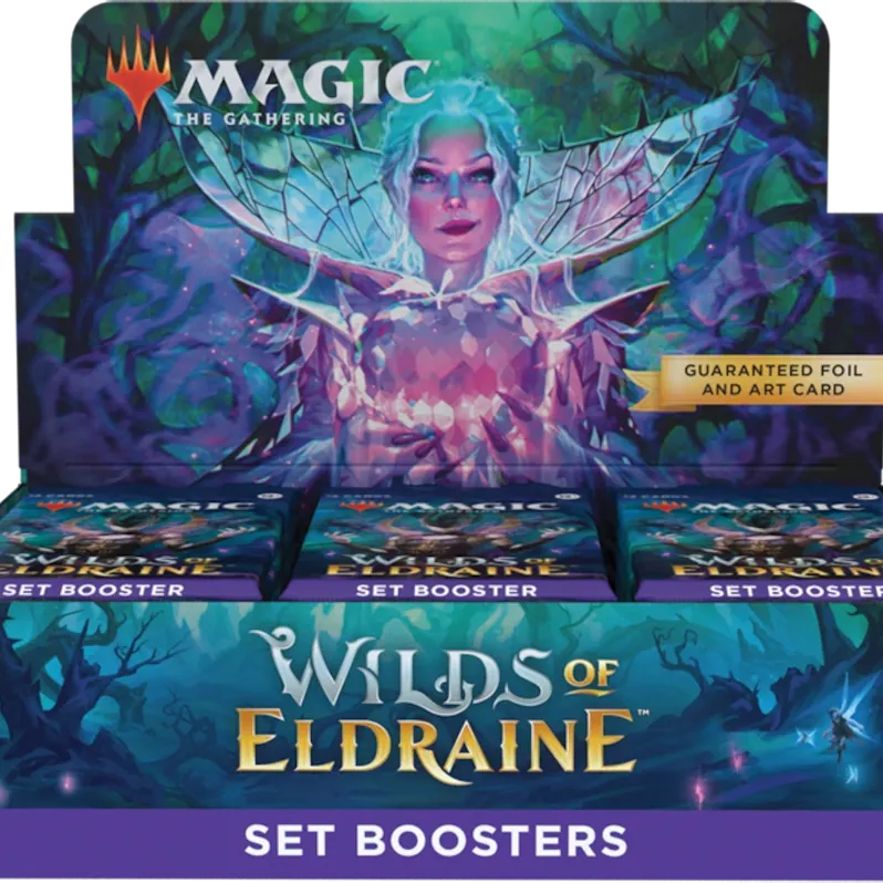 Magic - Terras Selvagens de Eldraine - Caixa de Booster de Coleção em Inglês