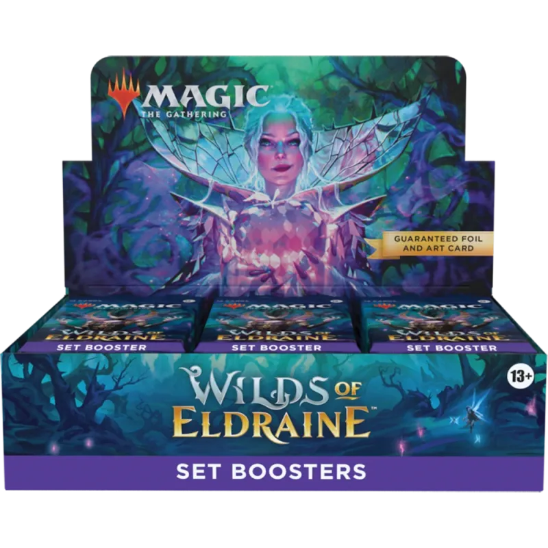 Magic - Terras Selvagens de Eldraine - Caixa de Booster de Coleção em Inglês