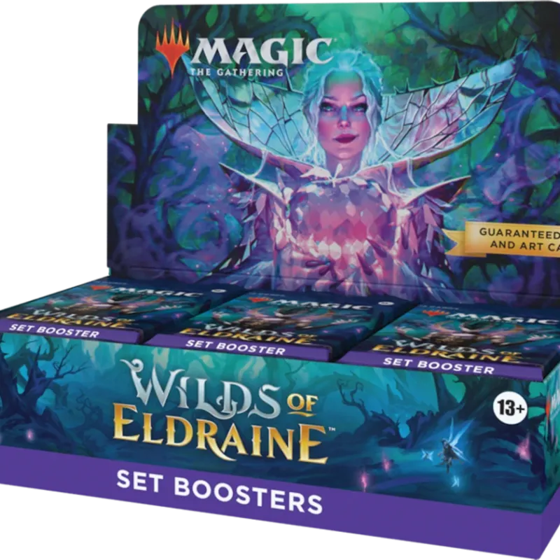 Magic - Terras Selvagens de Eldraine - Caixa de Booster de Coleção em Inglês