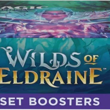 Magic - Terras Selvagens de Eldraine - Caixa de Booster de Coleção em Inglês
