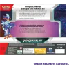 Pokémon - Box Parceiros de Paldea - Quaquaval EX