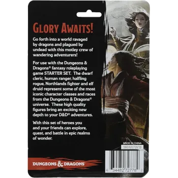 D&D: Icons of the Realms - Starter Set