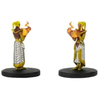 D&D: Icons of the Realms - Starter Set