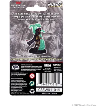 DnD: Icons of the Realms - Premium Figures - Tiefling Female Sorcerer