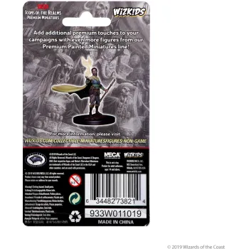 DnD: Icons of the Realms - Premium Figures - Elf Female Druid