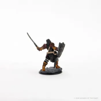 DnD: Icons of the Realms - Premium Figures - Dragonborn Female Paladin