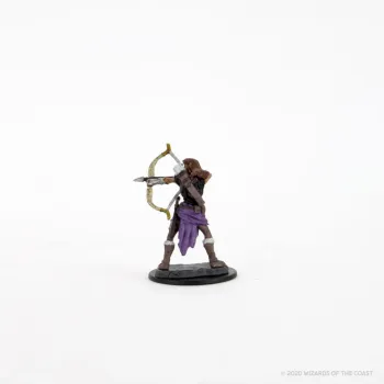 DnD: Icons of the Realms - Premium Figures - Human Female Druid