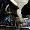 D&D: Icons of the Realms - White Adult Dragon Premium Figure D&D: Icons of the Realms - White Adult Dragon Premium Figure