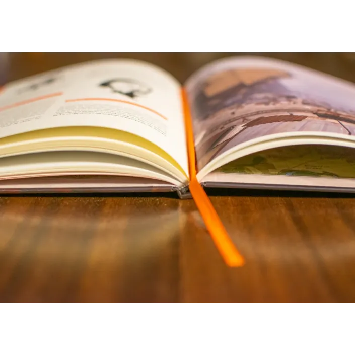 Tales From the Loop: Contos do Loop - Nossas Amigas, As Máquinas & Outros Mistérios - Galápagos Jogos