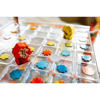 Holi: Um Festival de Cores - Devir Jogos