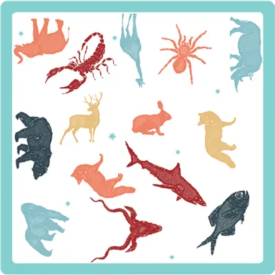 Cortex - Galápagos Jogos Cortex - Galápagos Jogos