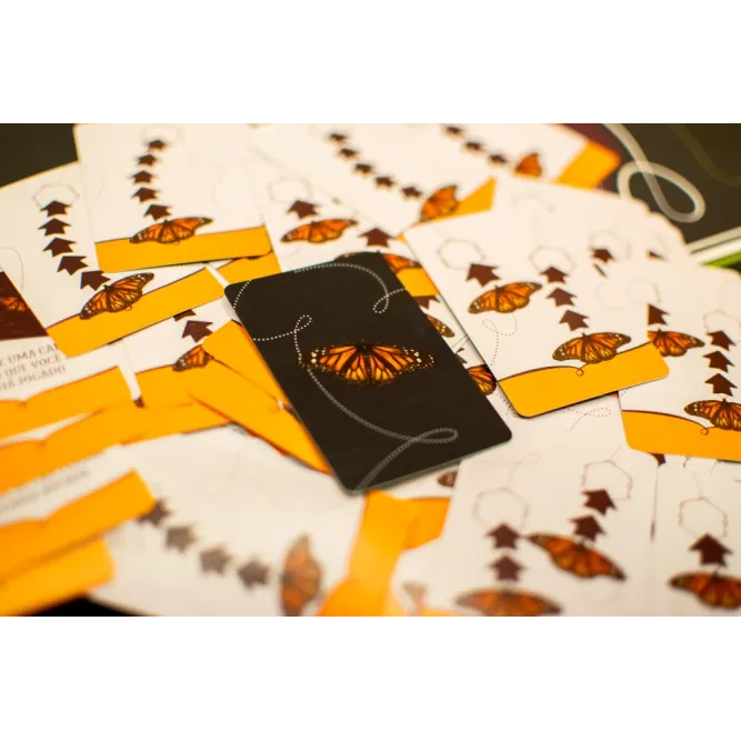 Mariposas - Galápagos Jogos Mariposas - Galápagos Jogos