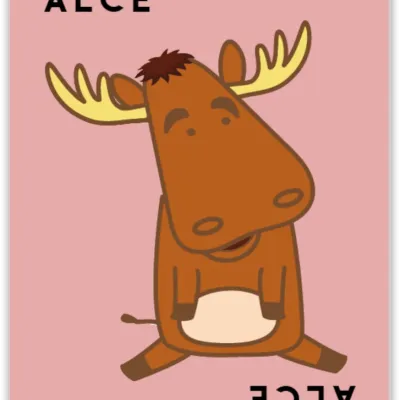 Taco Gato Cabra Queijo Pizza: ao Contrário - Papergames