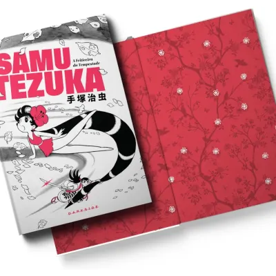 Feiticeira da Tempestade, A Feiticeira da Tempestade, A