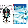 Arakawa Under the Bridge - Vol. 04