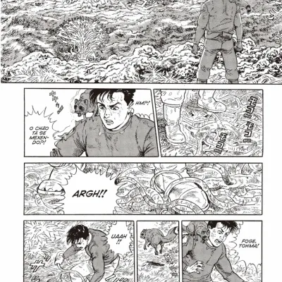 Crônicas da Era do Gelo, As Vol. 02 Crônicas da Era do Gelo, As Vol. 02