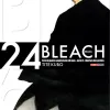 Bleach Remix Vol. 24