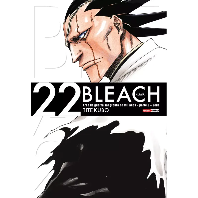 Bleach Remix Vol. 22