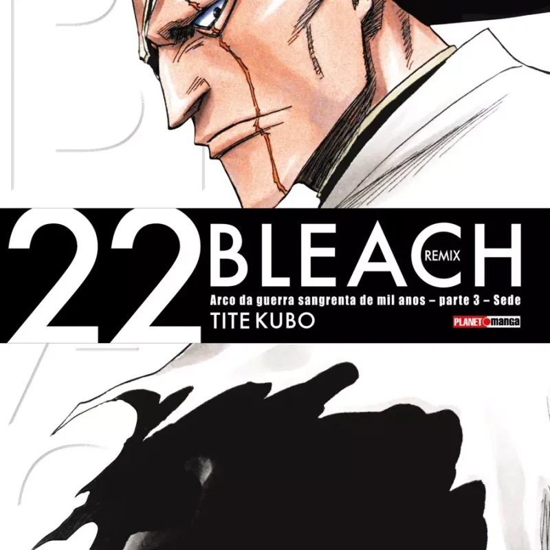 Bleach Remix Vol. 22