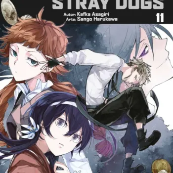 Bungo Stray Dogs Vol. 11