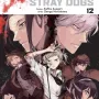 Bungo Stray Dogs Vol. 12