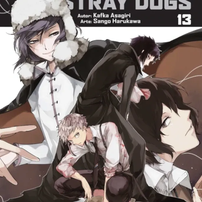 Bungo Stray Dogs Vol. 13