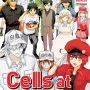 Cells At Work Vol. 06