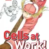 Cells At Work Vol. 04