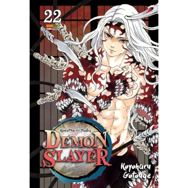 Demon Slayer (Kimetsu no Yaiba) Vol. 22