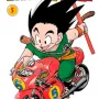 Dragon Ball Vol. 05