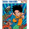 Dragon Ball Vol. 06