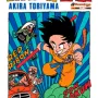 Dragon Ball Vol. 06