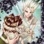 Dr. Stone Vol. 04