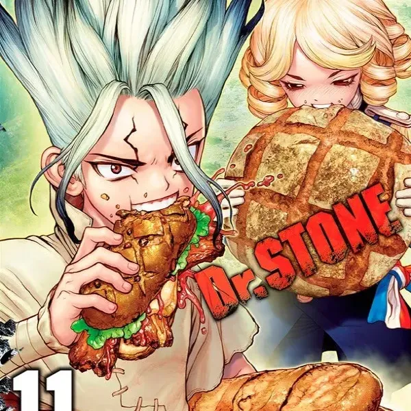 Dr. Stone Vol. 11