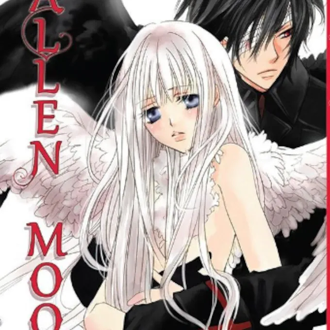 Fallen Moon Fallen Moon