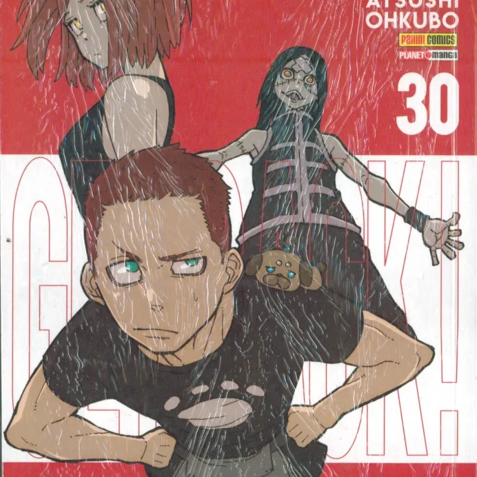 Fire Force Vol. 30 Fire Force Vol. 30