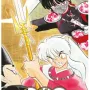 InuYasha Vol. 06 - Wideban