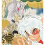 InuYasha Vol. 11 - Wideban