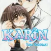 Karin Vol. 12