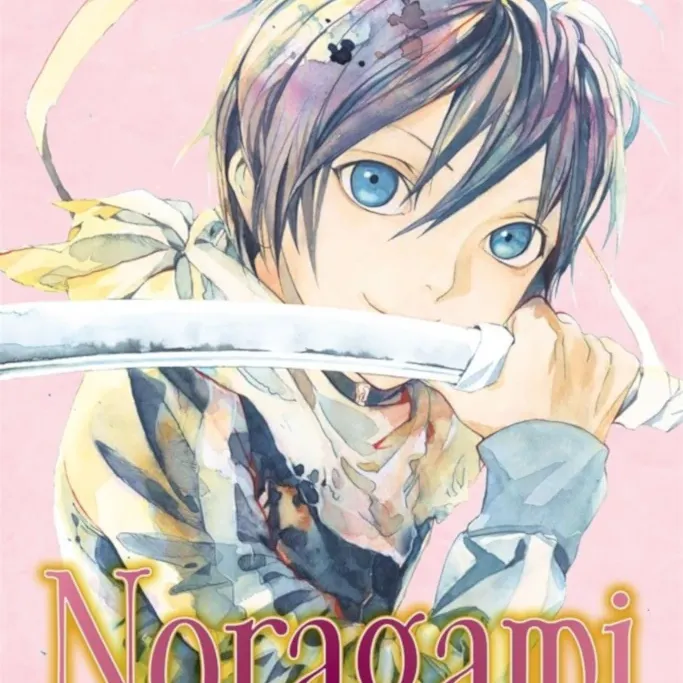 Noragami Vol. 13