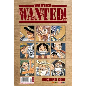 One Piece Wanted!