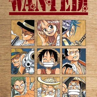 One Piece Wanted!