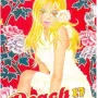 Peach Girl Vol. 17