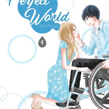 Perfect World - Vol. 04