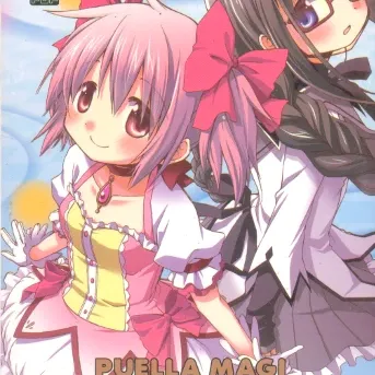 Puella Magi Madoka Magica The Novel
