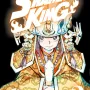 Shaman King Big Vol. 02