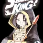 Shaman King Big Vol. 03