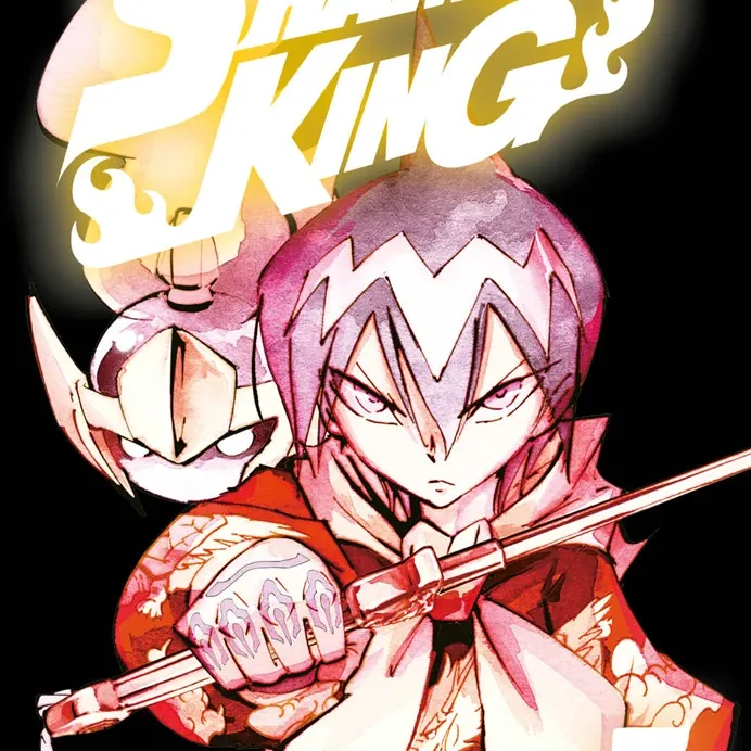 Shaman King Big Vol. 05